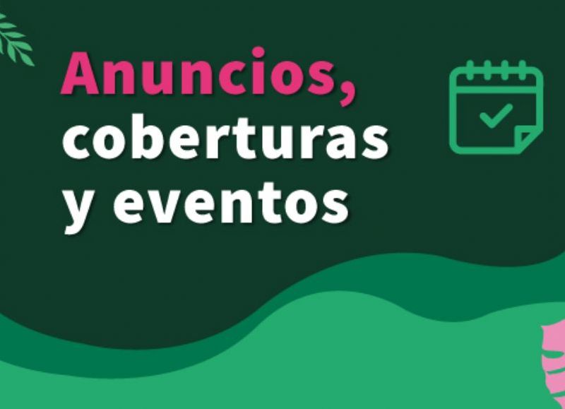 Posadas amplía el transporte público y suma propuestas de salud, deporte y sustentabilidad