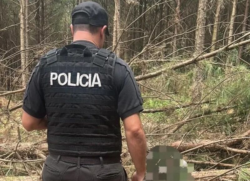 Un hombre murió tras ser golpeado por un pino durante tareas rurales